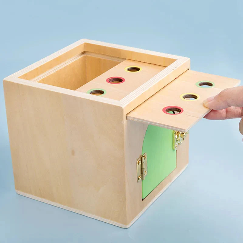 Montessori 6-in-1 Sorting Tool