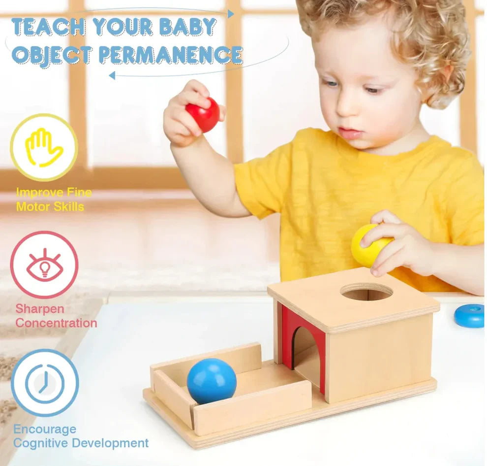 Montessori Object Permanence Box